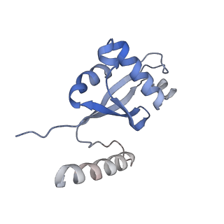 30297_7c7a_H_v1-2
Cryo-EM structure of yeast Ribonuclease MRP with substrate ITS1