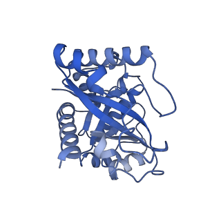 30297_7c7a_I_v1-1
Cryo-EM structure of yeast Ribonuclease MRP with substrate ITS1