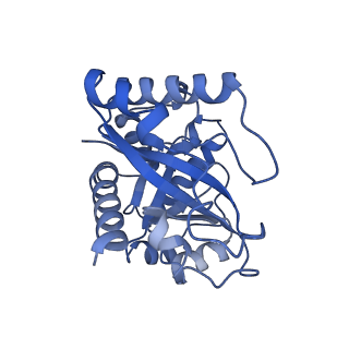 30297_7c7a_I_v1-2
Cryo-EM structure of yeast Ribonuclease MRP with substrate ITS1