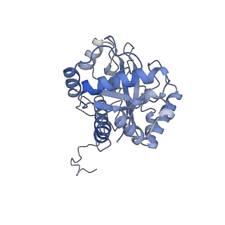 30297_7c7a_J_v1-1
Cryo-EM structure of yeast Ribonuclease MRP with substrate ITS1