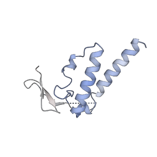 30297_7c7a_K_v1-2
Cryo-EM structure of yeast Ribonuclease MRP with substrate ITS1