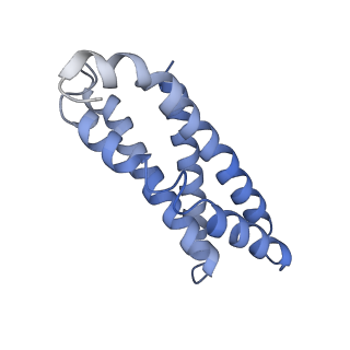 30297_7c7a_L_v1-1
Cryo-EM structure of yeast Ribonuclease MRP with substrate ITS1
