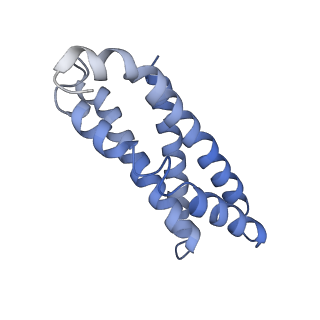 30297_7c7a_L_v1-2
Cryo-EM structure of yeast Ribonuclease MRP with substrate ITS1