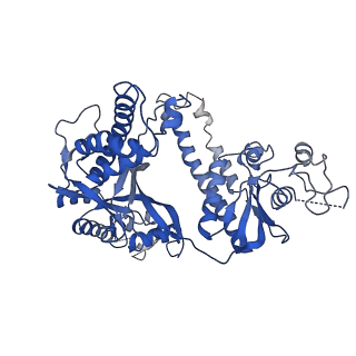 30299_7c7l_A_v1-2
Cryo-EM structure of the Cas12f1-sgRNA-target DNA complex
