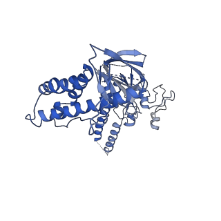 30299_7c7l_B_v1-2
Cryo-EM structure of the Cas12f1-sgRNA-target DNA complex