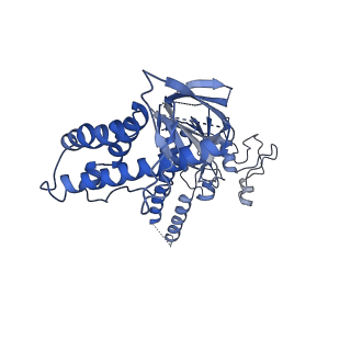 30299_7c7l_B_v1-3
Cryo-EM structure of the Cas12f1-sgRNA-target DNA complex