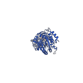 30300_7c7q_A_v1-2
Cryo-EM structure of the baclofen/BHFF-bound human GABA(B) receptor in active state