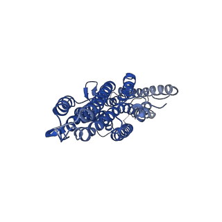 7352_6c70_A_v1-3
Cryo-EM structure of Orco