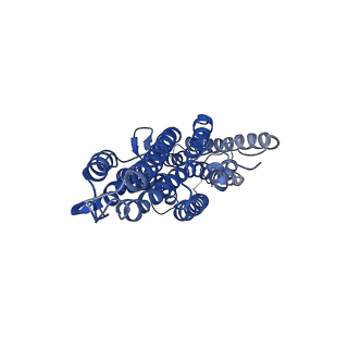 7352_6c70_A_v1-4
Cryo-EM structure of Orco