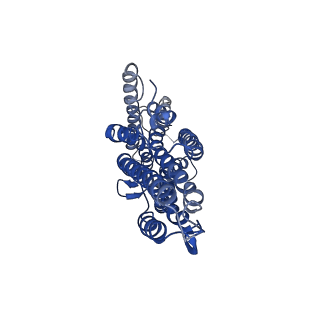 7352_6c70_B_v1-3
Cryo-EM structure of Orco