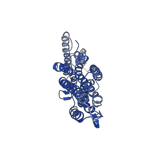 7352_6c70_B_v1-4
Cryo-EM structure of Orco