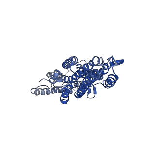 7352_6c70_C_v1-3
Cryo-EM structure of Orco