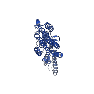 7352_6c70_D_v1-3
Cryo-EM structure of Orco