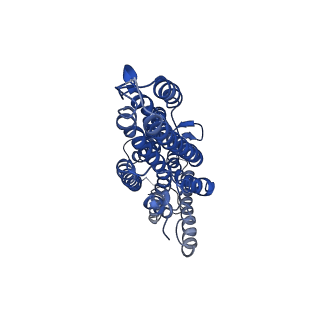 7352_6c70_D_v1-4
Cryo-EM structure of Orco