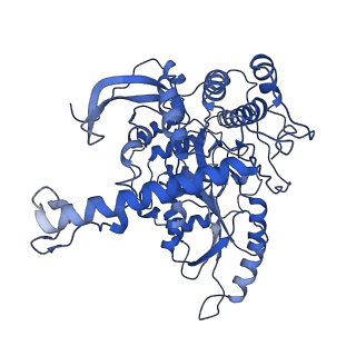 16467_8c80_C_v1-0
Cryo-EM structure of the yeast SPT-Orm1-Monomer complex