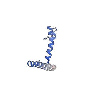 16467_8c80_D_v1-0
Cryo-EM structure of the yeast SPT-Orm1-Monomer complex