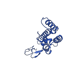 16468_8c81_A_v1-0
Cryo-EM structure of the yeast SPT-Orm1-Sac1 complex