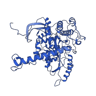 16468_8c81_C_v1-0
Cryo-EM structure of the yeast SPT-Orm1-Sac1 complex