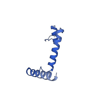16468_8c81_D_v1-0
Cryo-EM structure of the yeast SPT-Orm1-Sac1 complex