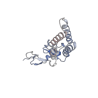 16469_8c82_A_v1-0
Cryo-EM structure of the yeast SPT-Orm1-Dimer complex