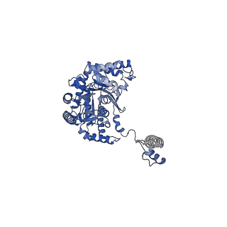 16469_8c82_B_v1-0
Cryo-EM structure of the yeast SPT-Orm1-Dimer complex
