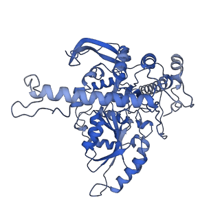 16469_8c82_C_v1-0
Cryo-EM structure of the yeast SPT-Orm1-Dimer complex