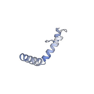 16469_8c82_D_v1-0
Cryo-EM structure of the yeast SPT-Orm1-Dimer complex