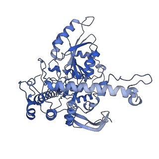 16469_8c82_G_v1-0
Cryo-EM structure of the yeast SPT-Orm1-Dimer complex