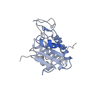 16470_8c83_P_v1-0
Cryo-EM structure of in vitro reconstituted Otu2-bound Ub-40S complex