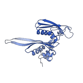 16470_8c83_R_v1-0
Cryo-EM structure of in vitro reconstituted Otu2-bound Ub-40S complex