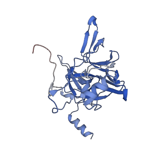 16470_8c83_S_v1-0
Cryo-EM structure of in vitro reconstituted Otu2-bound Ub-40S complex