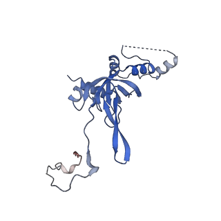 16470_8c83_V_v1-0
Cryo-EM structure of in vitro reconstituted Otu2-bound Ub-40S complex