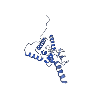16470_8c83_W_v1-0
Cryo-EM structure of in vitro reconstituted Otu2-bound Ub-40S complex