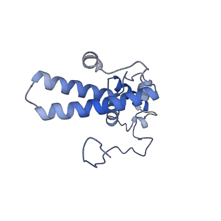 16470_8c83_Y_v1-0
Cryo-EM structure of in vitro reconstituted Otu2-bound Ub-40S complex
