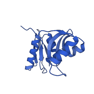16470_8c83_b_v1-0
Cryo-EM structure of in vitro reconstituted Otu2-bound Ub-40S complex