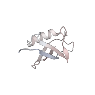 16470_8c83_y_v1-0
Cryo-EM structure of in vitro reconstituted Otu2-bound Ub-40S complex