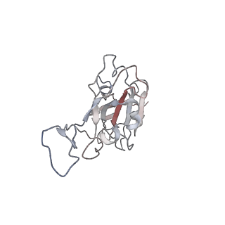 16473_8c89_C_v1-0
SARS-CoV-2 spike in complex with the 17T2 neutralizing antibody Fab fragment (local refinement of RBD and Fab)