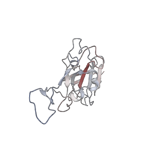 16473_8c89_C_v1-1
SARS-CoV-2 spike in complex with the 17T2 neutralizing antibody Fab fragment (local refinement of RBD and Fab)