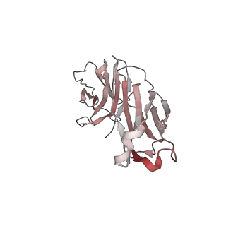 16473_8c89_H_v1-1
SARS-CoV-2 spike in complex with the 17T2 neutralizing antibody Fab fragment (local refinement of RBD and Fab)