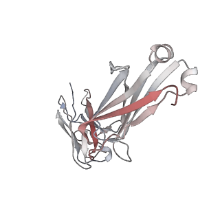 16473_8c89_L_v1-1
SARS-CoV-2 spike in complex with the 17T2 neutralizing antibody Fab fragment (local refinement of RBD and Fab)