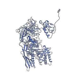 16476_8c8h_B_v1-0
Cryo EM structure of the vaccinia complete RNA polymerase complex lacking the capping enzyme