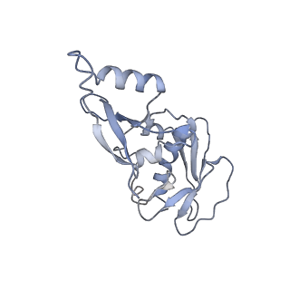 16476_8c8h_E_v1-0
Cryo EM structure of the vaccinia complete RNA polymerase complex lacking the capping enzyme