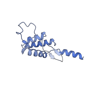 16476_8c8h_F_v1-0
Cryo EM structure of the vaccinia complete RNA polymerase complex lacking the capping enzyme