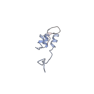 16476_8c8h_J_v1-0
Cryo EM structure of the vaccinia complete RNA polymerase complex lacking the capping enzyme