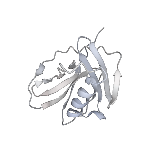 16476_8c8h_Q_v1-0
Cryo EM structure of the vaccinia complete RNA polymerase complex lacking the capping enzyme