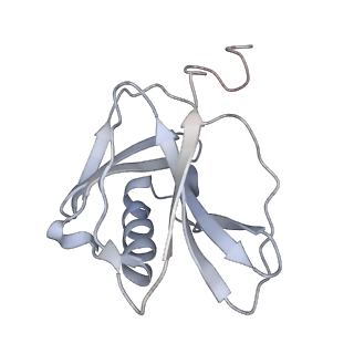 16476_8c8h_R_v1-0
Cryo EM structure of the vaccinia complete RNA polymerase complex lacking the capping enzyme
