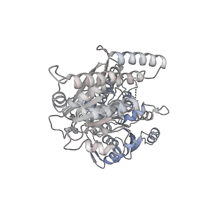 16476_8c8h_Y_v1-0
Cryo EM structure of the vaccinia complete RNA polymerase complex lacking the capping enzyme