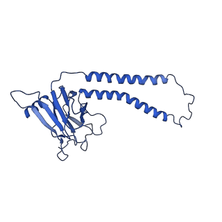 16491_8c8q_B_v1-0
Cytochrome c oxidase from Schizosaccharomyces pombe
