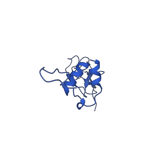 16491_8c8q_D_v1-0
Cytochrome c oxidase from Schizosaccharomyces pombe