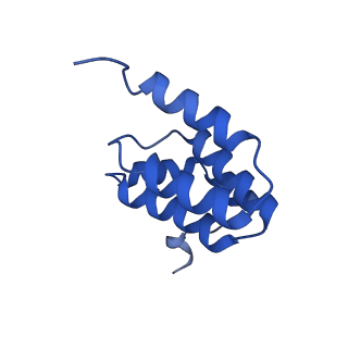 16491_8c8q_F_v1-0
Cytochrome c oxidase from Schizosaccharomyces pombe
